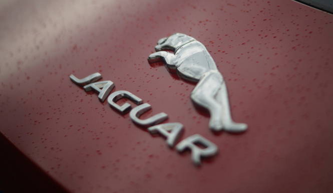 JAGUAR